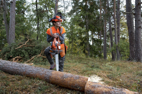 Petrol Vs Battery Chainsaws - The Best Chainsaw For Every Job