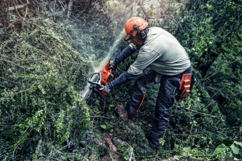 Storm-cleanup with chainsaws – How to stay safe when nature strikes