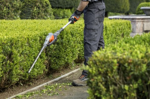 How To Trim Tall & Wide Hedges