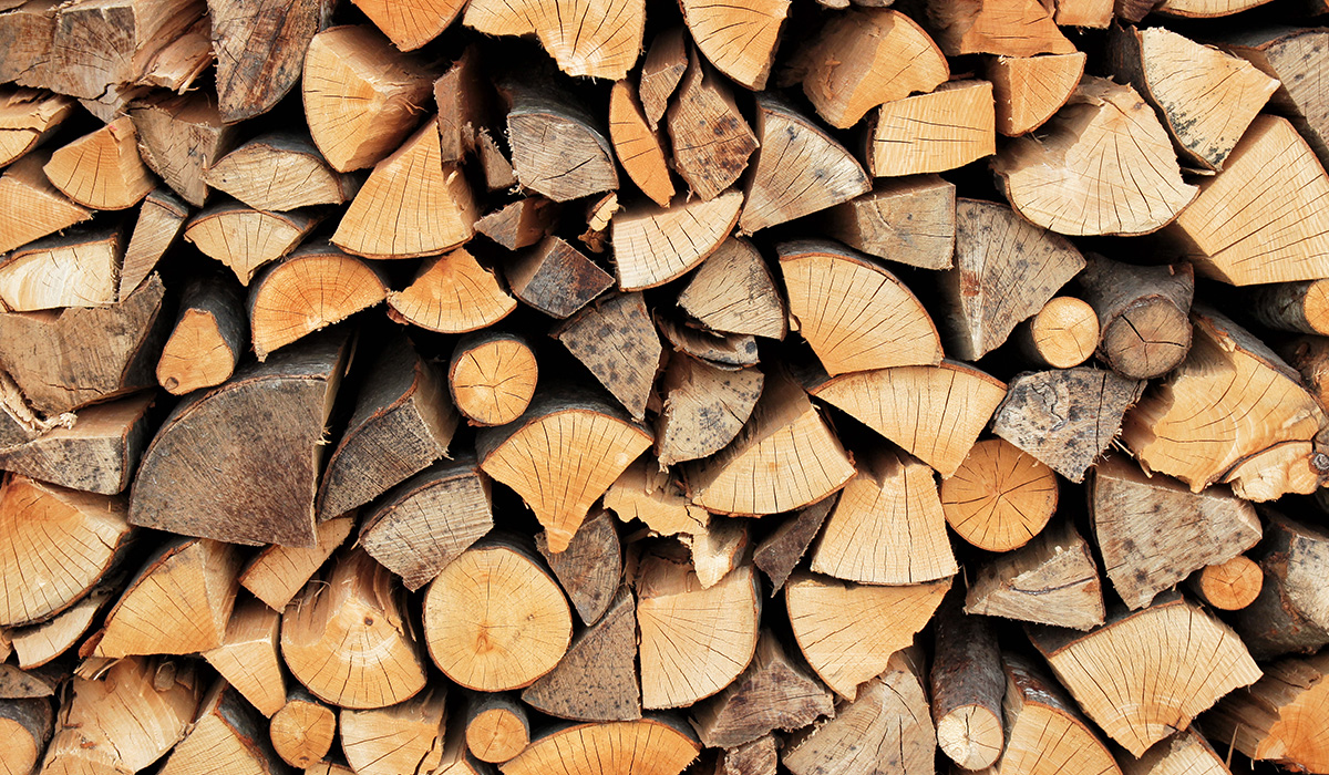 From Logs To Chips: Deciding Between A Chipper & Log Splitter